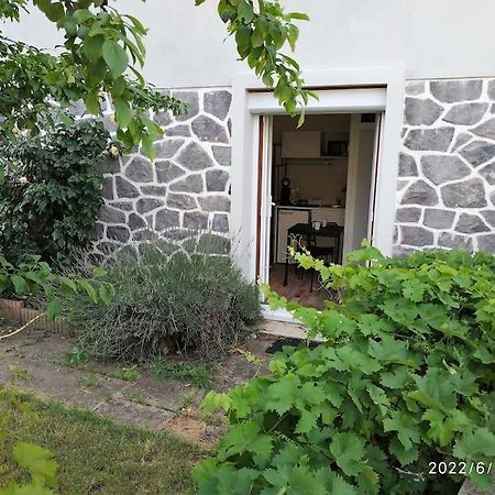 Grand Studio Avec Jardin Et Entree Privative A Noter Reservations De 3 Nuits Minimum Clermont-Ferrand Eksteriør billede
